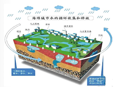 深圳宝安将推进完成海绵城市建设项目113项